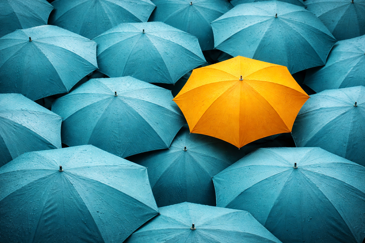 Wij begeleiden bij reputatiemanagement: